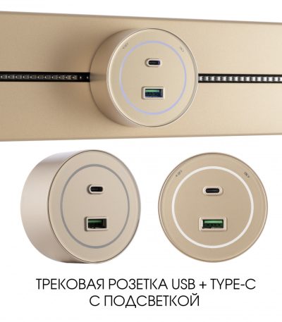 Трековая розетка Arte Milano Am-track-sockets-39 399732TS/USB-Type-C Gold