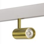 Трековый магнитный светильник AM Group MAGNET AM429 CX-B11-10W -3000K Copper