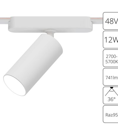 Трековый магнитный светильник Arte Lamp Rapid A2958PL-1WH
