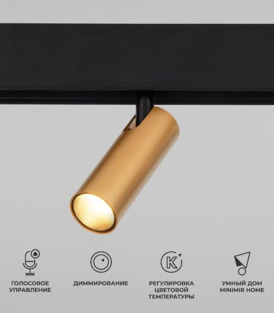 Трековый магнитный светильник Elektrostandard Slim Magnetic 4690389195280 a063529