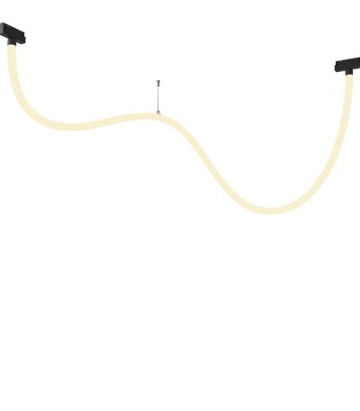 Трековый магнитный светильник Maytoni Tau TR101-2-50W3K-B