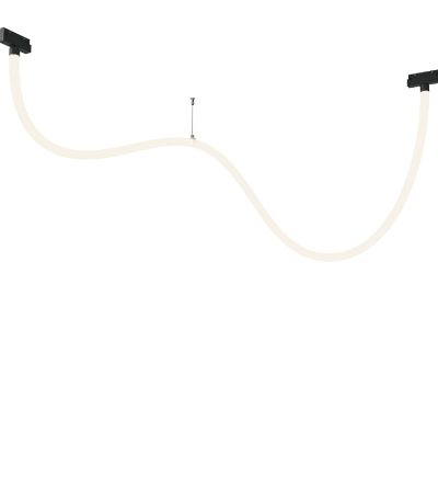 Трековый магнитный светильник Maytoni Tau TR101-2-50W4K-B