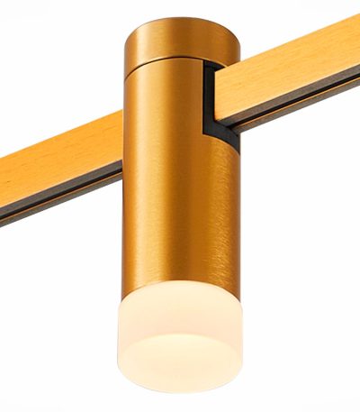 Трековый магнитный светильник ST Luce Farm ST812.206.03