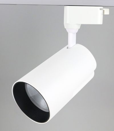 Трековый однофазный светильник General GTR-25-1-IP40-S-W-4 580043