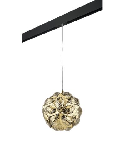 Трековый однофазный светильник Lightstar Fermo (724312+595007) PRO724312