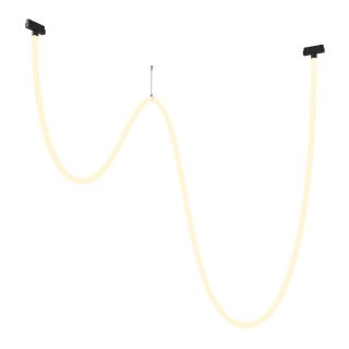 Трековый подвесной светильник Maytoni Tau TR101-2-100W3K-B