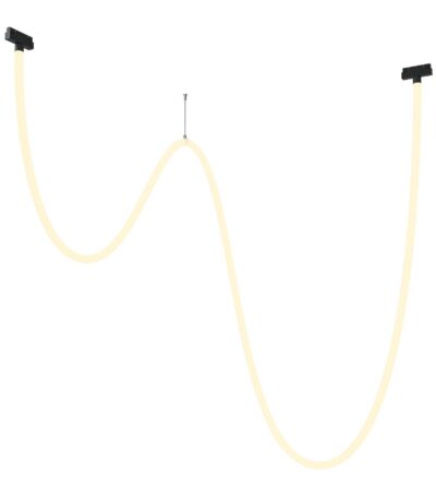 Трековый подвесной светильник Maytoni Tau TR101-2-100W3K-B