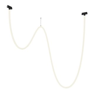 Трековый подвесной светильник Maytoni Tau TR101-2-100W4K-B