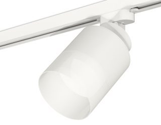 Трековый светильник Ambrella Light Track System XT8110002 (A2524, A2105, C8110, N8402)