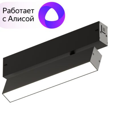 Трековый светильник Denkirs DK8009-BK