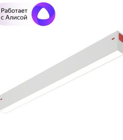 Трековый светильник Denkirs Smart DK8004-WH