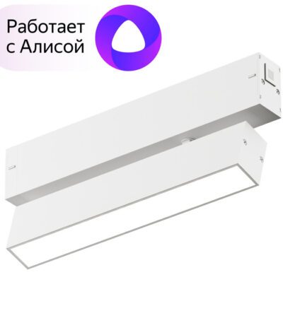 Трековый светильник Denkirs Smart DK8009-WH