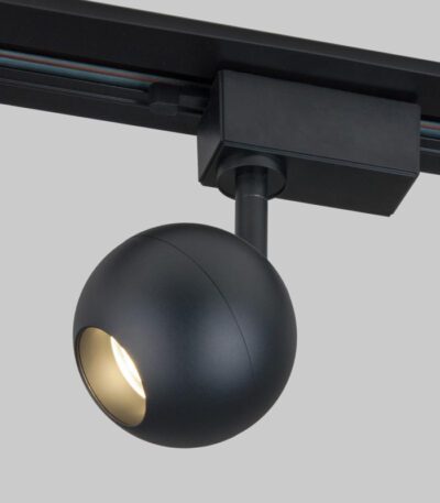 Трековый светильник Elektrostandard Ball 4690389169892