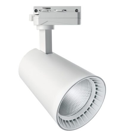 Трековый светильник Feron AL100 41607