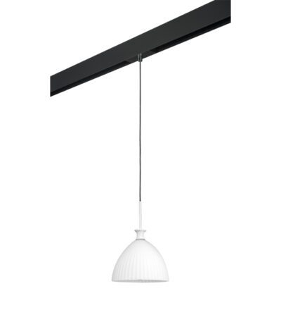 Трековый светильник Lightstar Agola PRO810020 (810020+595007)