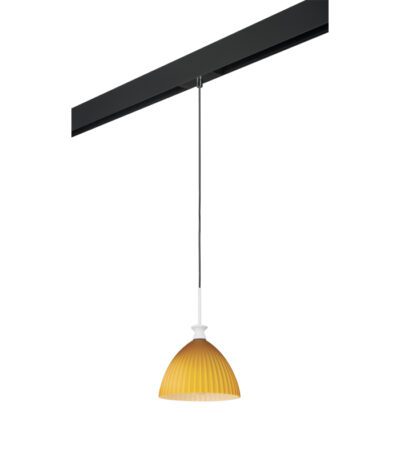 Трековый светильник Lightstar Agola PRO810023 (810023+595007)