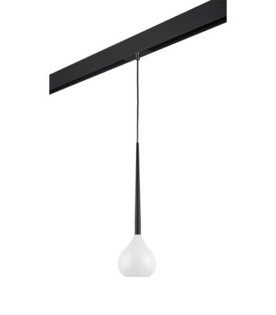 Трековый светильник Lightstar Forma PRO808110 (808110+595007)