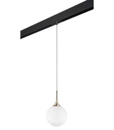 Трековый светильник Lightstar Globo PRO813023 (813023+595007)