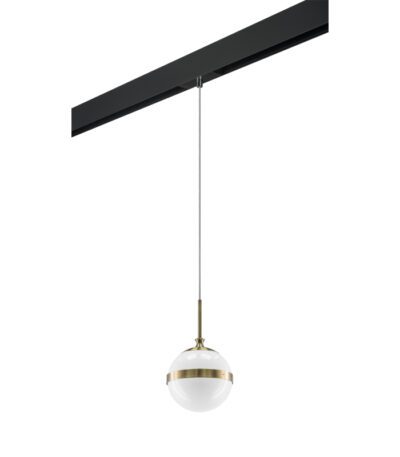 Трековый светильник Lightstar Globo PRO813111 (813111+595007)