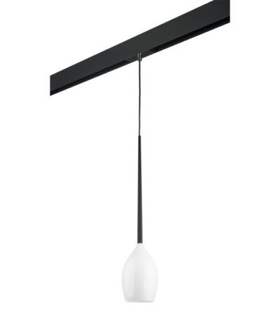 Трековый светильник Lightstar Meta d'uovo PRO807110 (807110+595007)