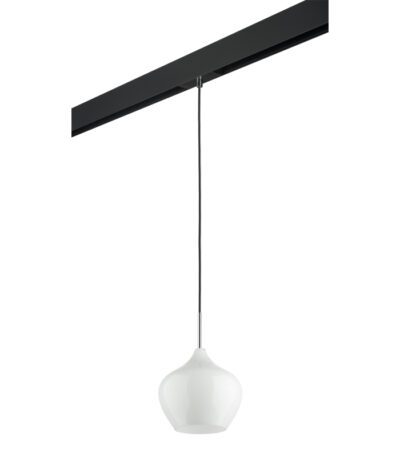 Трековый светильник Lightstar Pentola PRO803040 (803040+595007)