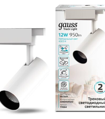 Трековый светодиодный светильник Gauss Track Light Led TR064