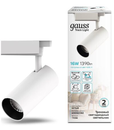 Трековый светодиодный светильник Gauss Track Light Led TR066