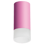 Накладной светильник Lightstar Rullo R43231 (214432+202431)