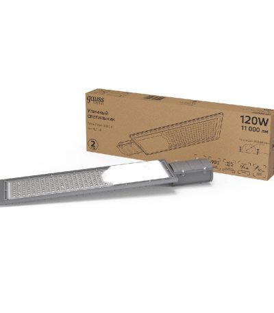 Уличный консольный светильник Gauss Avenue 629534120