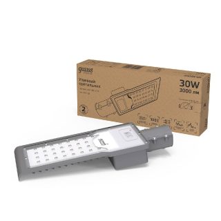 Уличный консольный светильник Gauss Avenue 629534130