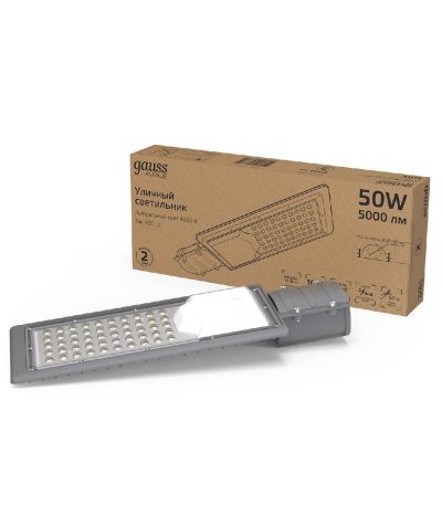 Уличный консольный светильник Gauss Avenue 629534250