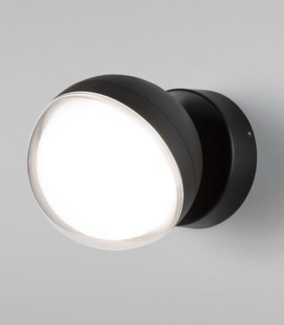 Уличный настенный светильник Elektrostandard Globo 4690389188916 a060760