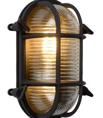 Уличный настенный светильник Lucide Dudley 11891/20/30