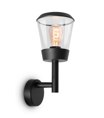 Уличный настенный светильник Maytoni Faro O039WL-01B