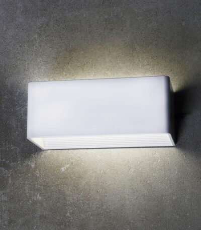 Уличный настенный светодиодный светильник Favourite Twinser 1997-1W