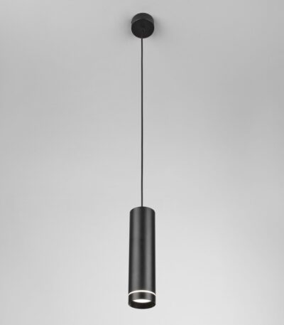 Уличный подвесной светильник Elektrostandard DLR023 4690389189166 a061364