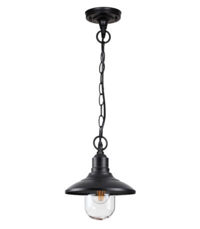 Уличный подвесной светильник Odeon Light Campa 4965/1