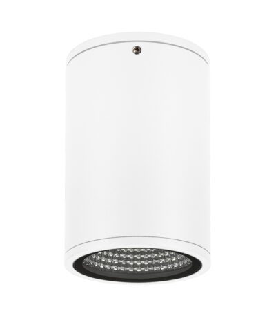 Уличный потолочный светильник Arlight LGD-Forma-Surface-R90-12W Day4000 037259