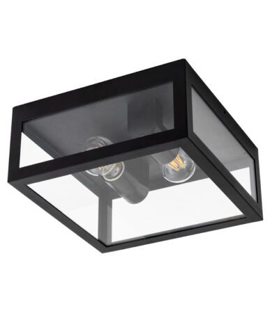 Уличный потолочный светильник Arte Lamp Belfast A4569PF-2BK