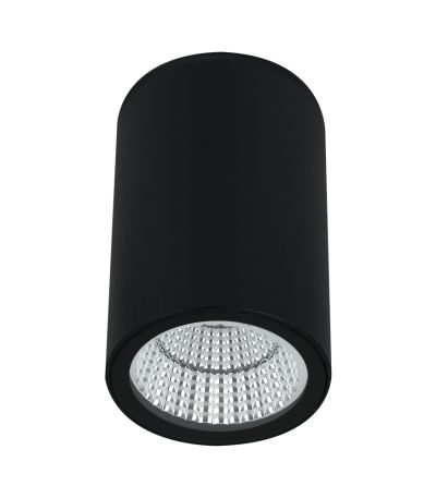 Уличный потолочный светильник Arte Lamp Torcular A1807PF-1BK