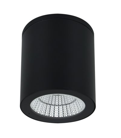 Уличный потолочный светильник Arte Lamp Torcular A1813PF-1BK
