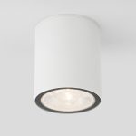 Уличный потолочный светильник Elektrostandard Light LED 4690389176579