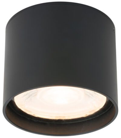 Уличный потолочный светильник Elektrostandard Light LED 4690389176975