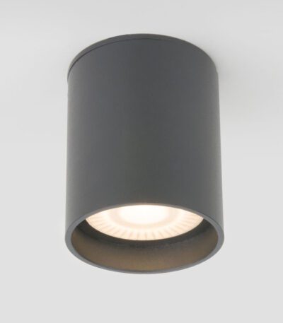 Уличный потолочный светильник Elektrostandard Light LED 4690389177002