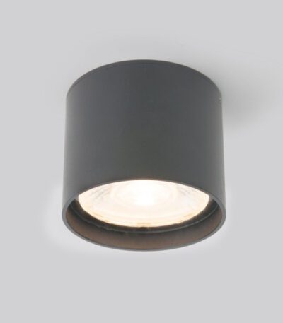 Уличный потолочный светильник Elektrostandard Light LED 4690389177019