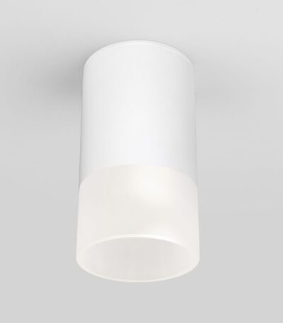 Уличный потолочный светильник Elektrostandard Light LED 4690389177927