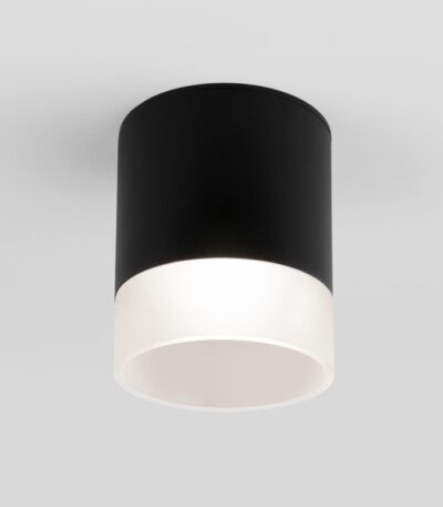 Уличный потолочный светильник Elektrostandard Light LED 4690389177941