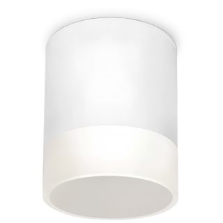 Уличный потолочный светильник Elektrostandard Light LED 4690389177958