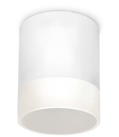 Уличный потолочный светильник Elektrostandard Light LED 4690389177958