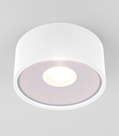 Уличный потолочный светильник Elektrostandard Light LED 4690389180132